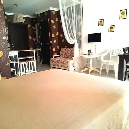 Grosses Studio Olymp In Der Naehe Des Strandes Mit Eigenem Innenhof Und Zugang Zum Pool アパート *
